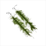 Set de 2 bucati riguri camuflate pentru pescuit, Regal Fish, fir textil vegetatie, 20 cm, carlig marime 6